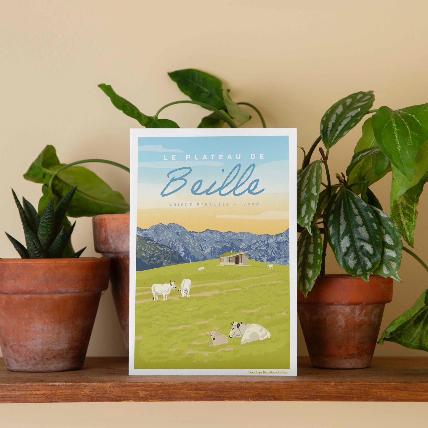 Carte postale illustrée Plateau de Beille en été, vaches en estive et pastoralisme.