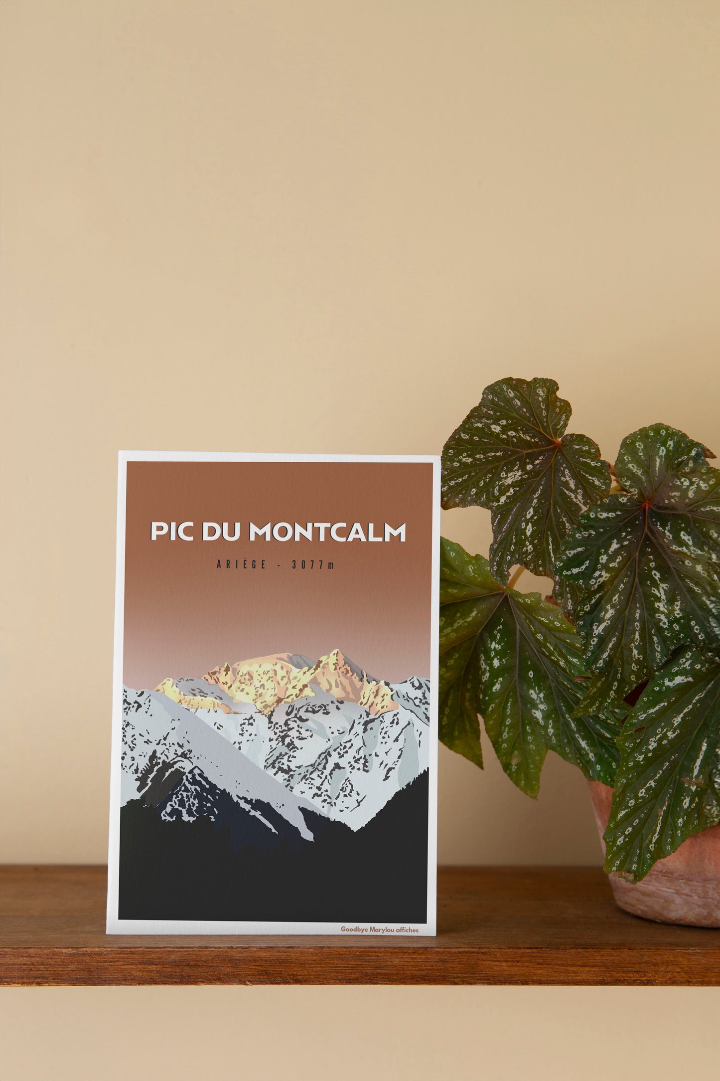 Carte postale